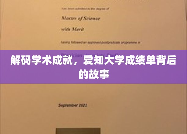 解码学术成就，探寻爱知大学成绩单背后的故事