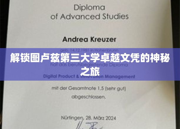 开启图卢兹第三大学卓越文凭的探索之旅