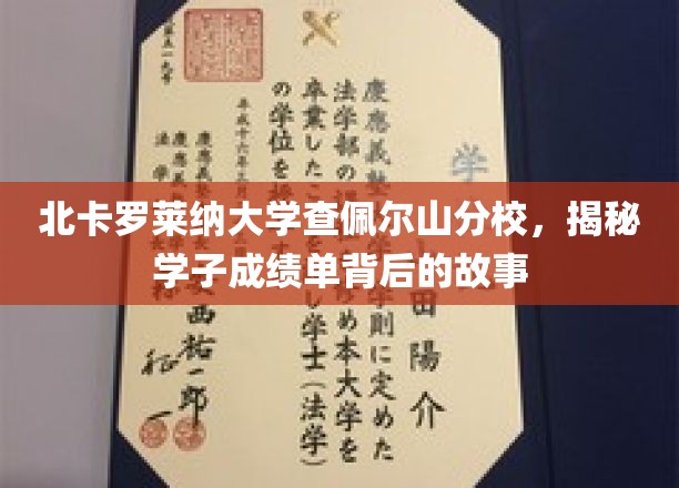 北卡罗莱纳大学查佩尔山分校，揭秘学子成绩单背后的故事