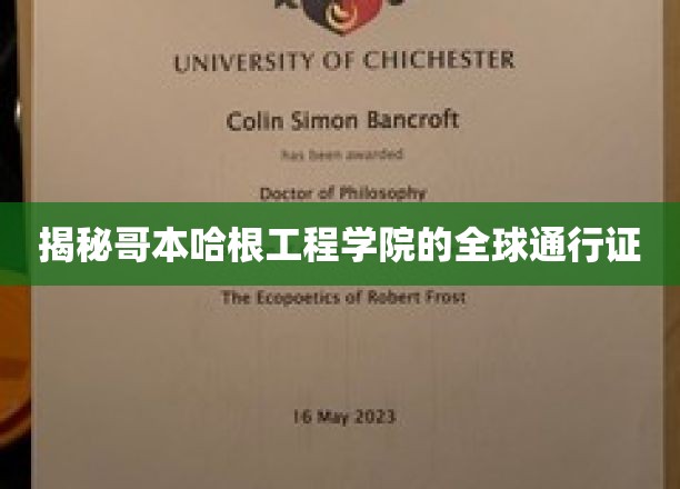 揭秘哥本哈根工程学院的全球通行证