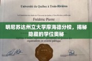 探寻明尼苏达州立大学摩海德分校的神秘学位宝藏