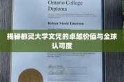 全球通行证，都灵大学文凭的非凡价值与广泛赞誉